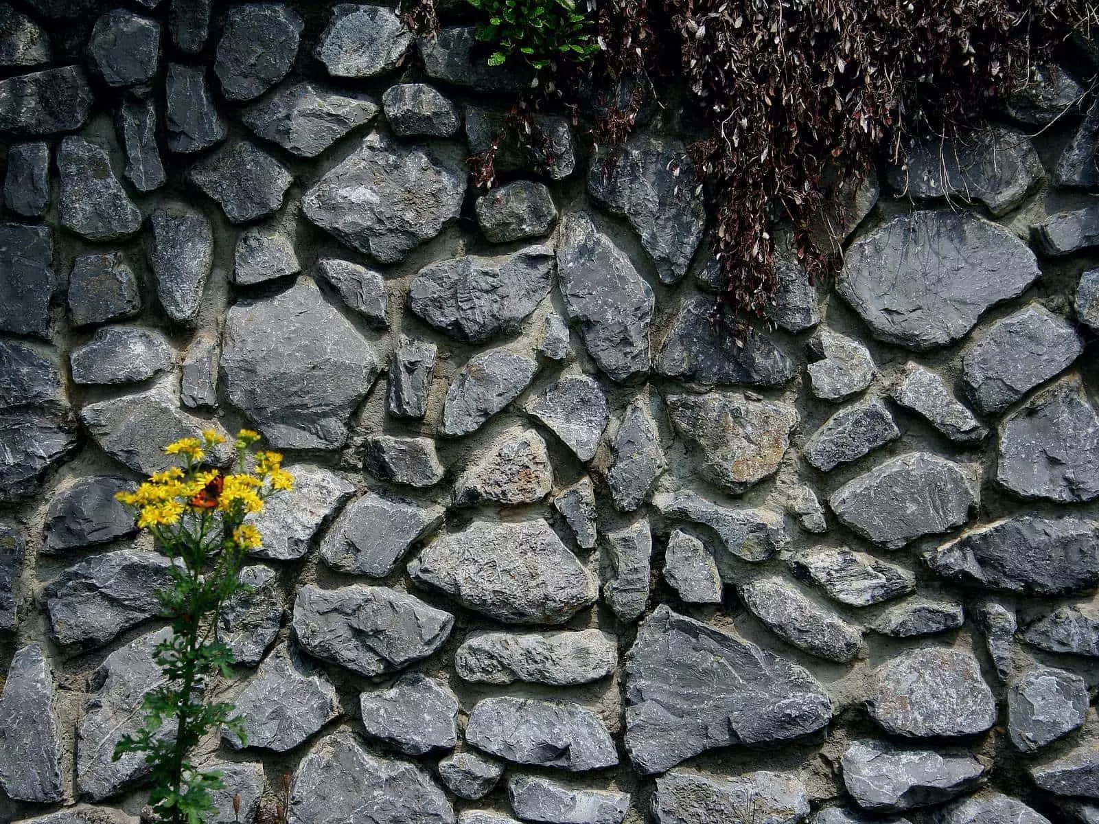 Natursteinmauer aus Kalkfels