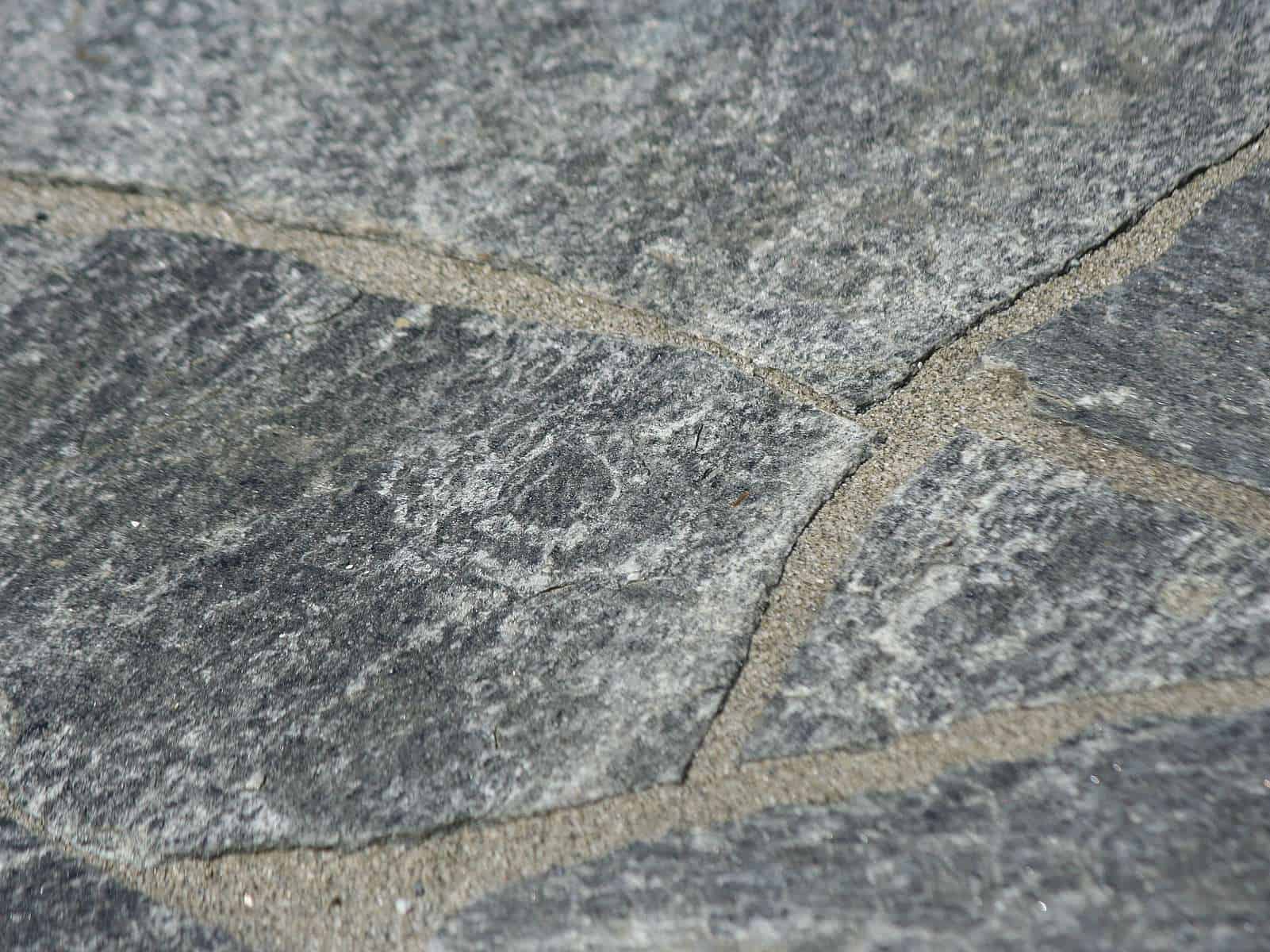Polygonalplatte Calanca Quarzit